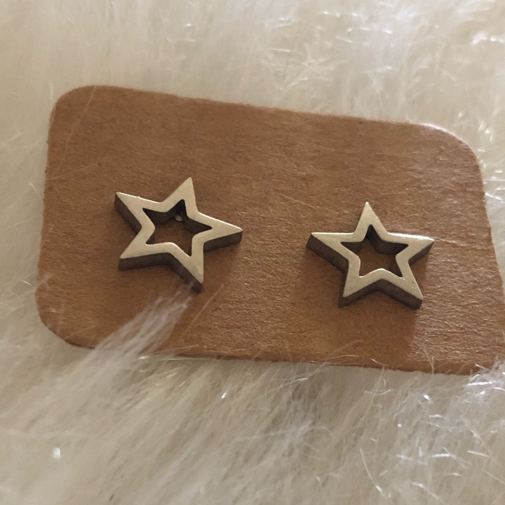 🌟Adorable Stainless Steel Star Earrings🌟